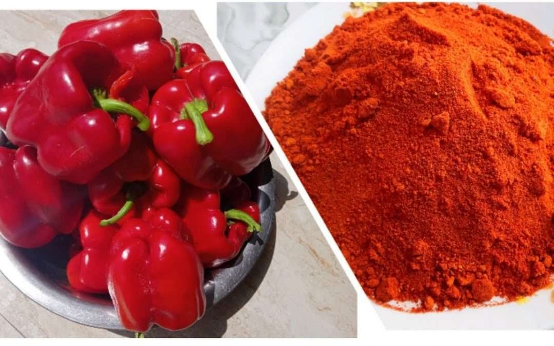Make  Paprika Powder At Home With 1 Year shelf-life | Homemade .