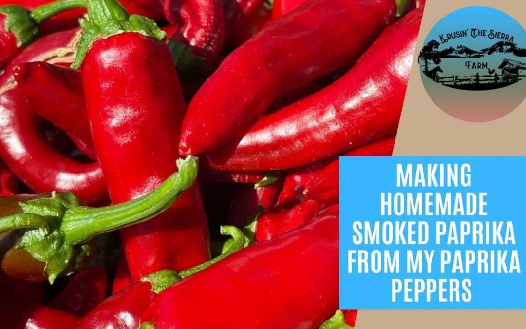 Making Homemade Smoked Paprika With My Homegrown Paprika Peppers