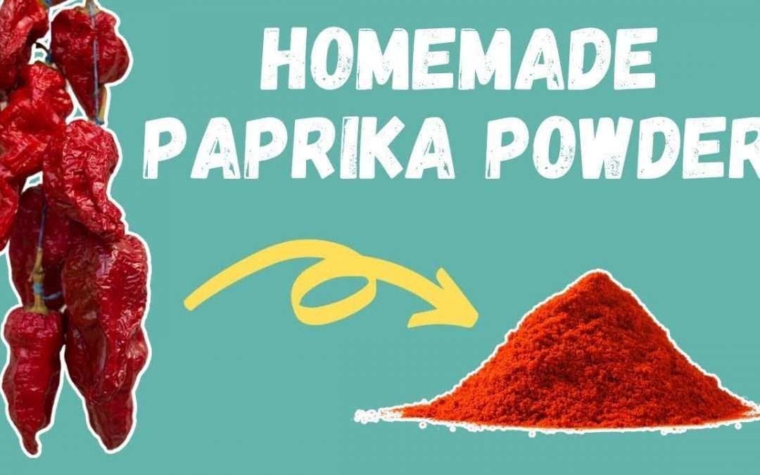 how to make paprika in air fryer / At Home With Just One Ingredient