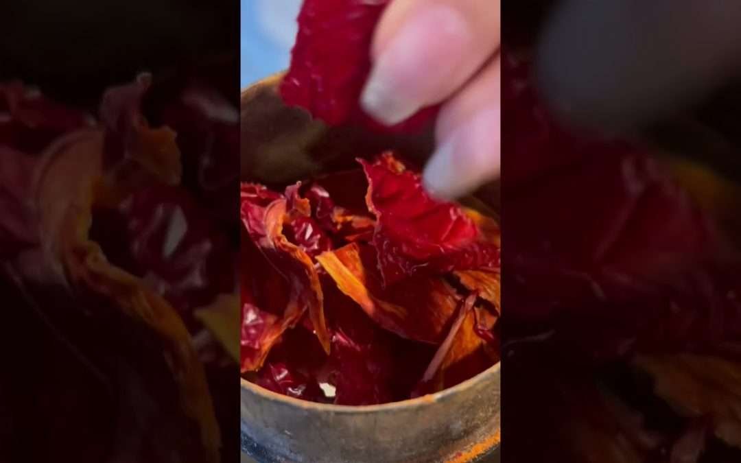 Homemade paprika spice