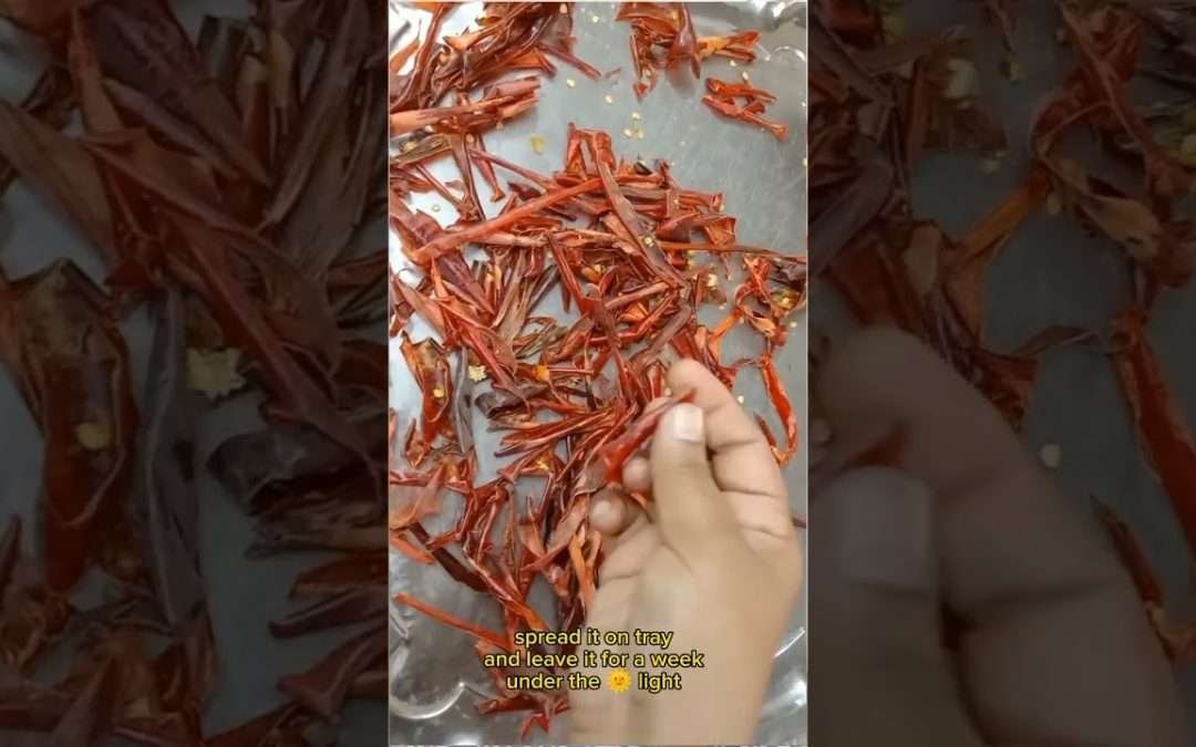 Homemade paprika powder @foodfordude #youtubeshorts #ytshort #youtube