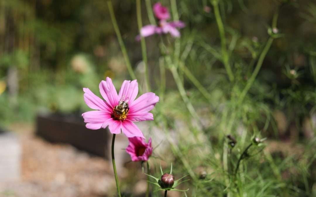 Using Self-Compassion To Support Your Relationship with Food