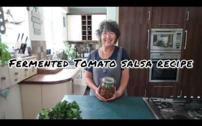 Fermented Tomato Salsa Recipe