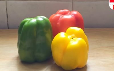 RESEP TUMIS PAPRIKA YANG ENAK DAN MUDAH| CHINESE FOOD RECIPE