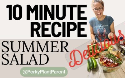 10 MINUTES Fresh Corn and Bean | Delicious Salad Recipe | Summer Salad