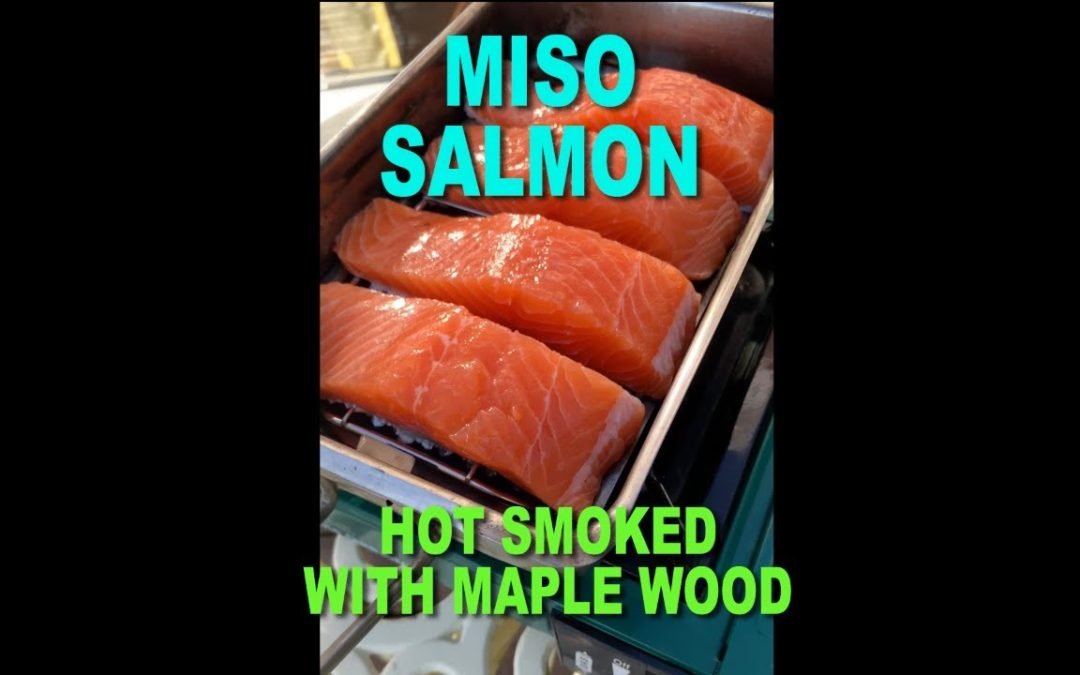 Warning: The Most Mouthwatering Hot Smoked Miso Salmon Recipe Revealed!