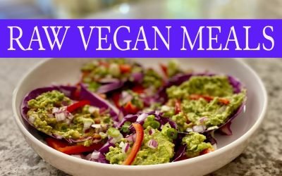 Dr Brooke Goldner Protocol Recipes What I Eat in a Day Raw Vegan Diet