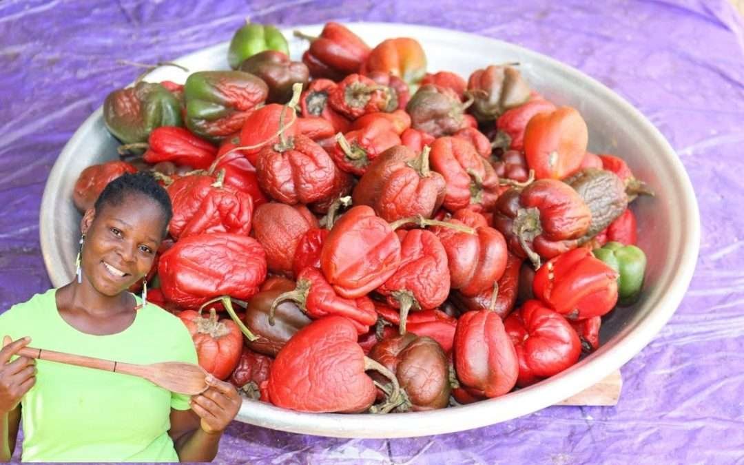 Cooking Technology / How To Preserve Paprika / Bell Peppers Recipe !! #primitive #cooking #pepper