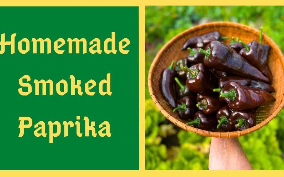 Homemade Smoked Paprika/Peppers – The Flavor Is Incredible!