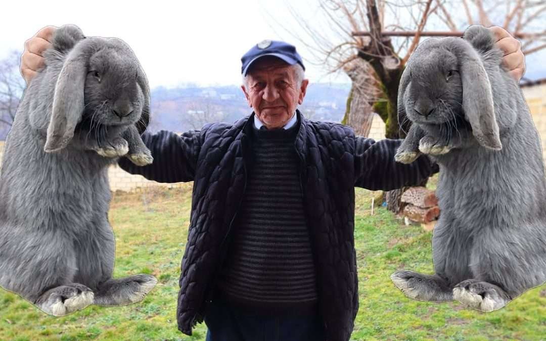 We baked rabbit and fresh bread in our new oven! The most delicious recipe for rabbit!
