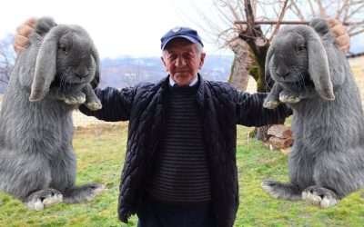 We baked rabbit and fresh bread in our new oven! The most delicious recipe for rabbit!