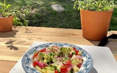 Crunchy Cucumber Tomato Salad – Nutrition Stripped