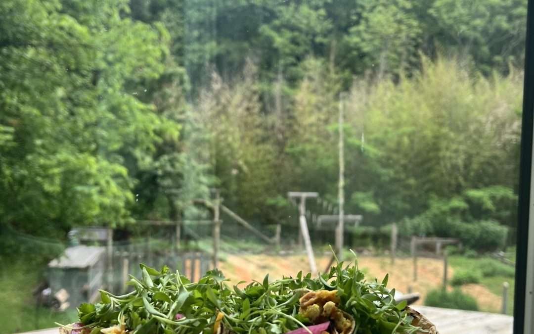 Ultimate Breakfast Tacos | Nutrition Stripped