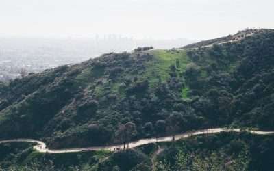 Reasons to Love Running in Los Angeles