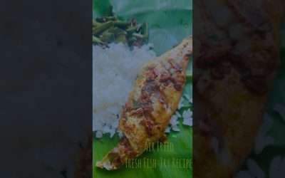 Oil free fish fry recipe / Air fried fish fry / Fish fry recipe #fishfryrecipe #airfried #fishfry