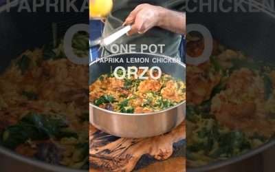 One Pot Paprika Lemon Chicken Orzo Recipe