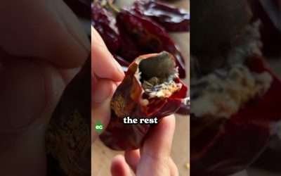 I grew my own paprika…