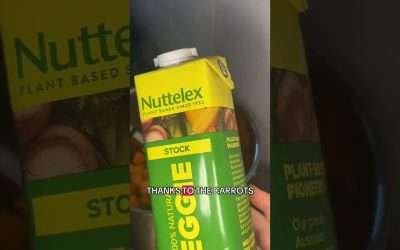 Soup season is the best season #souprecipe #vegansoup #sweetpotato #easymeals