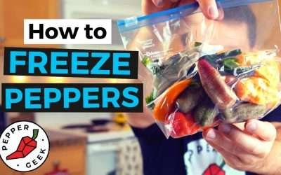 How To Freeze Peppers (The Right Way) – Pepper Geek