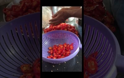 Home Made Red Paprika.. #cloudkitchen#trending #youtubeshorts #viral #minivlog #zomatopizza #foodie