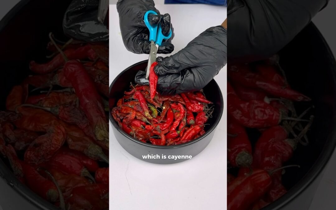 How to make PAPRIKA POWDER