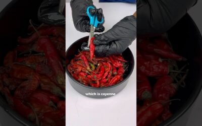 How to make PAPRIKA POWDER
